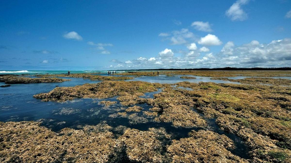 Abaetetuba Pousada São Miguel dos Milagres Eksteriør bilde